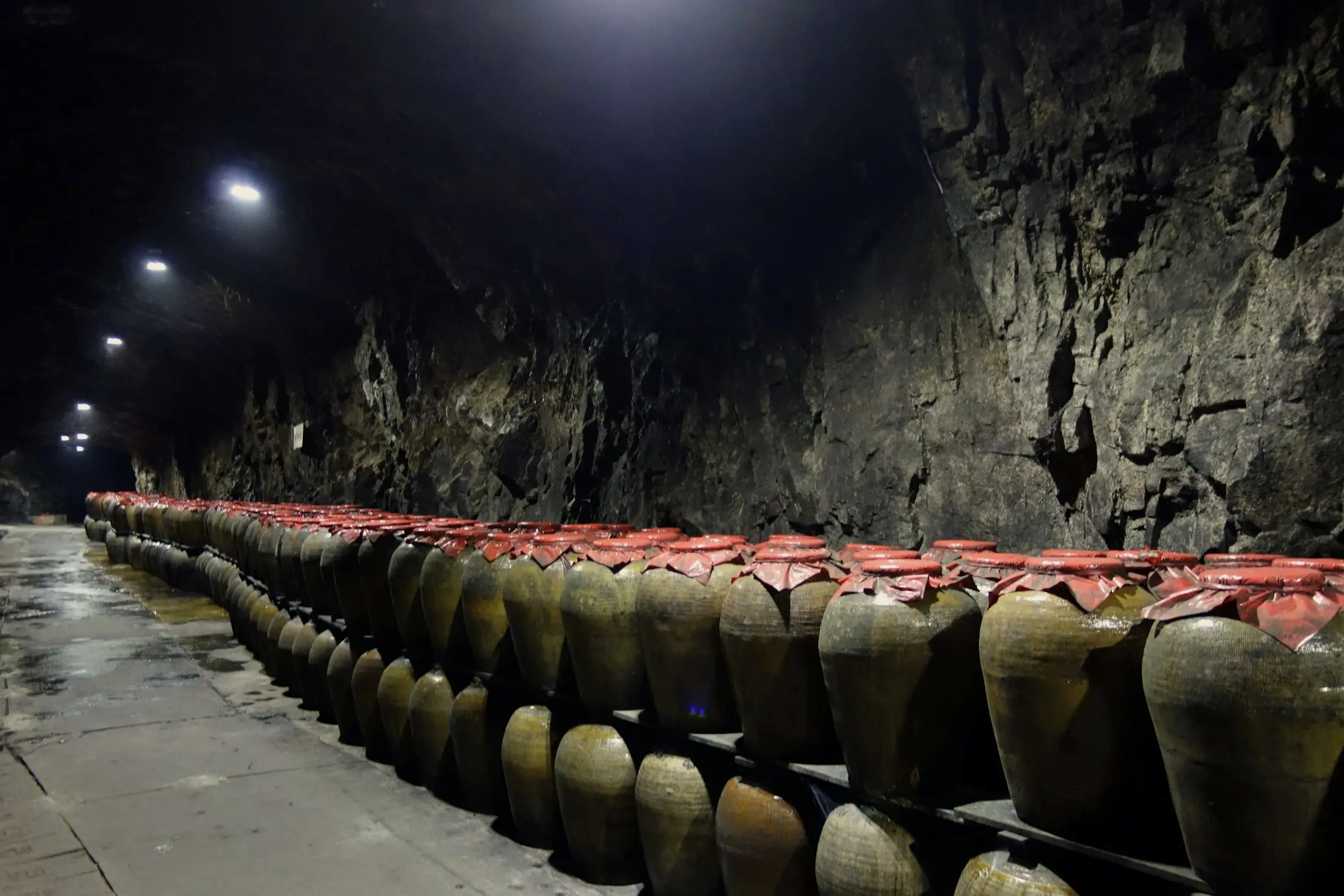 Rows of large clay fermentation jars along a dim cellar