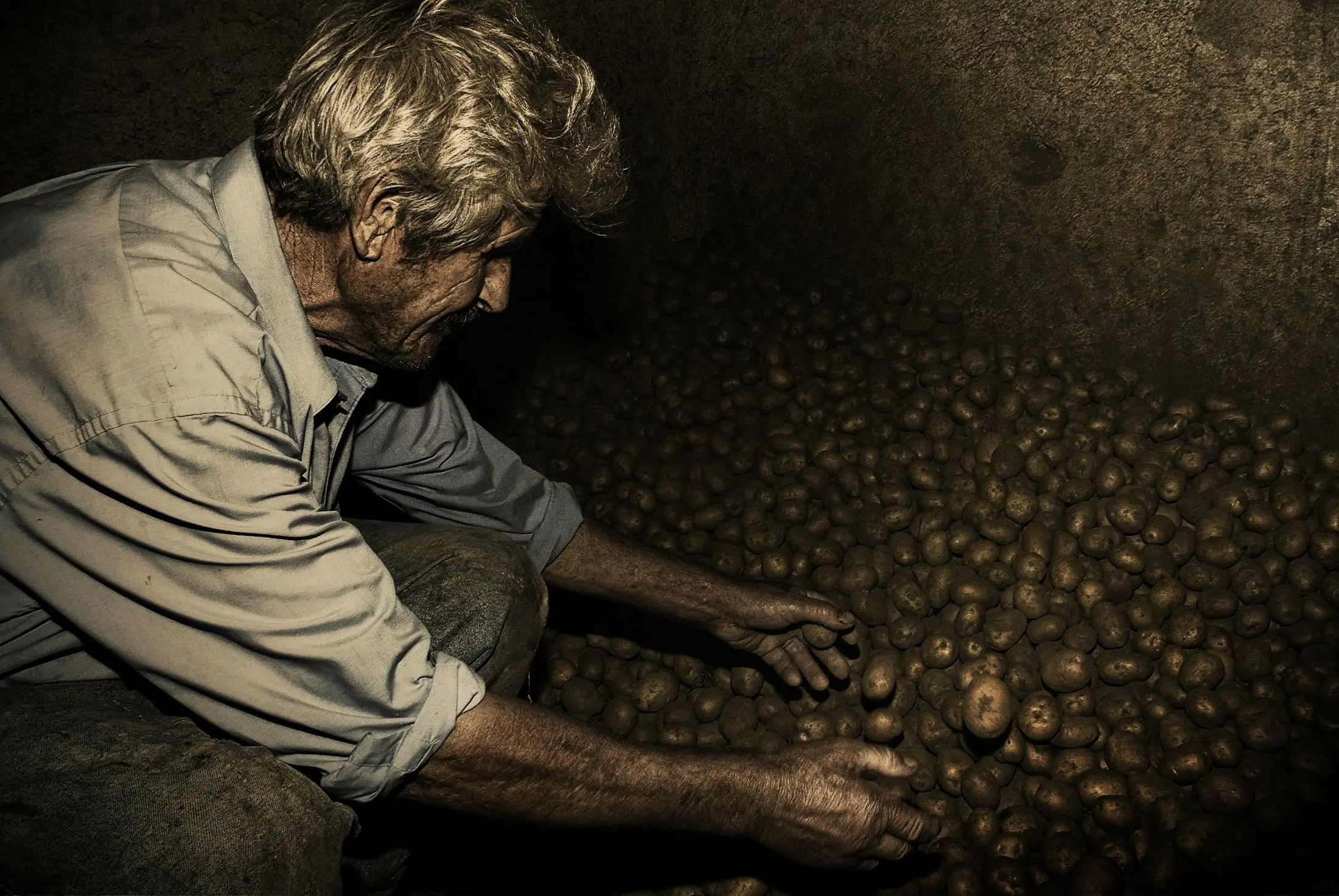 A grower sorting potatoes by hand in a dim store